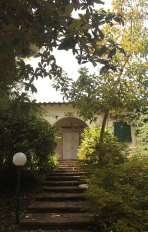 Villa Valeria Versilia Mommio